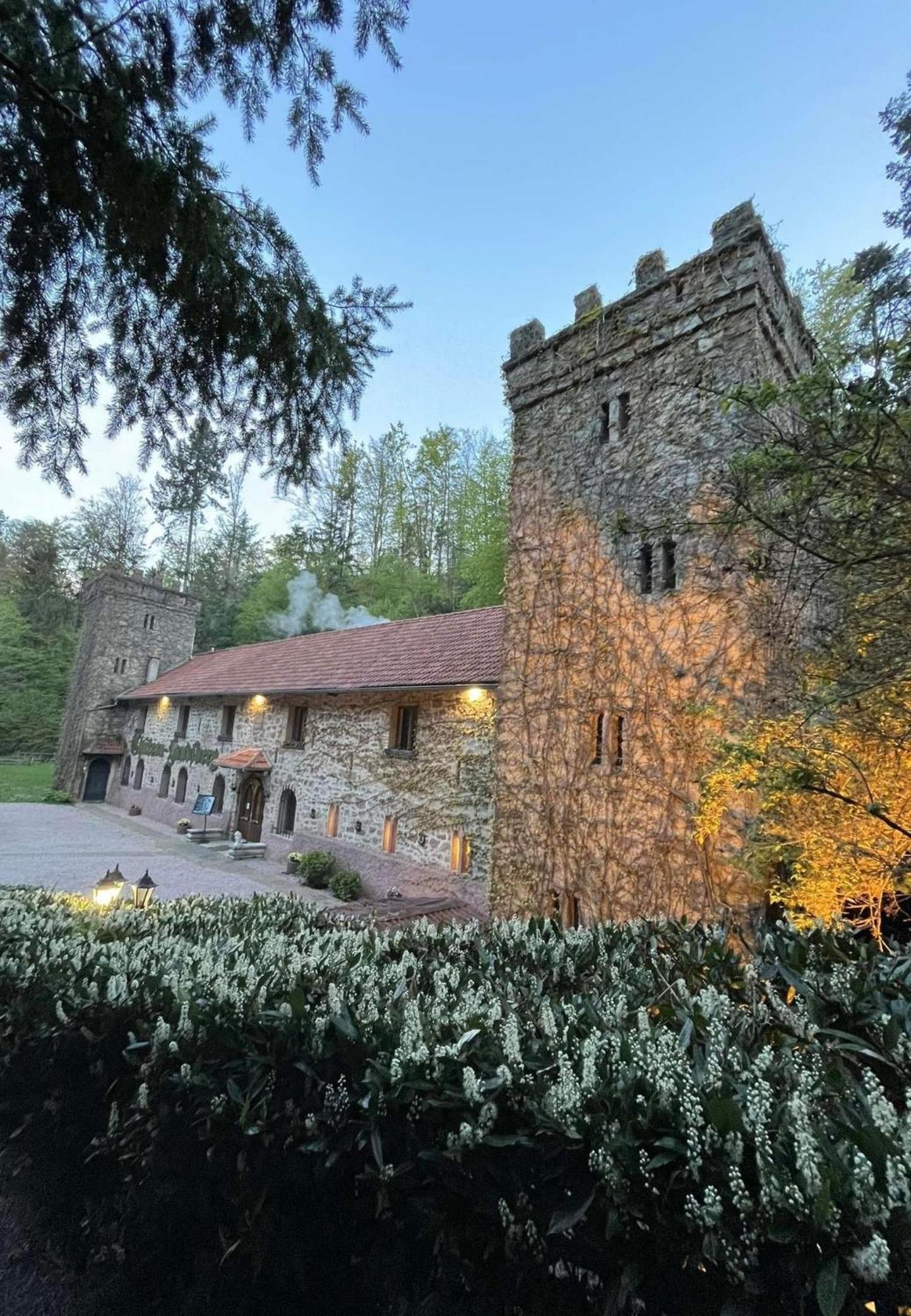 Le Chateau Du Landsberg 2*