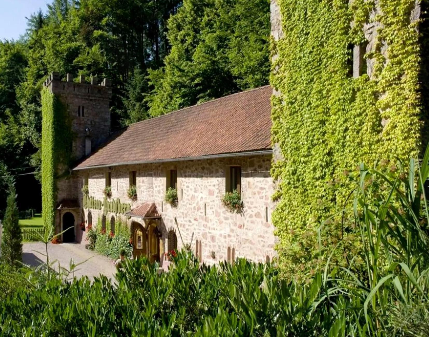 Le Chateau Du Landsberg