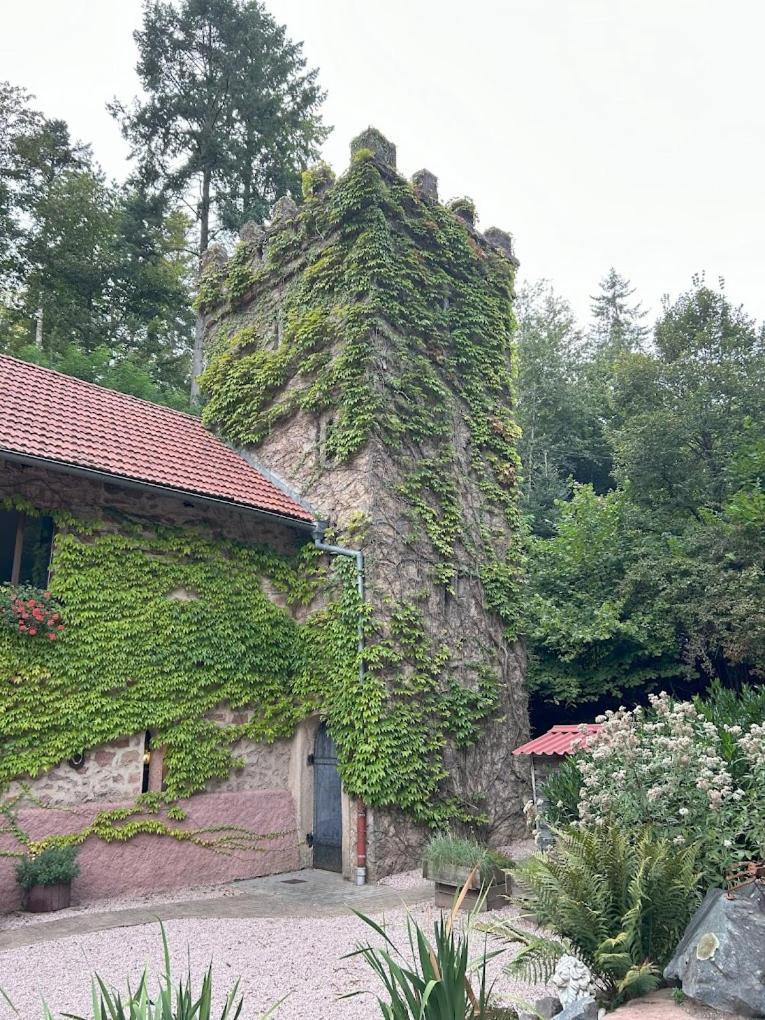 Hotel Hôtel&restaurant Château Landsberg&spa Barr